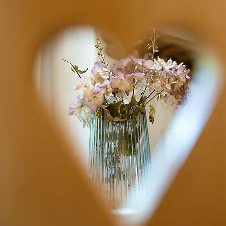 Apartamento Alpine Styled In *