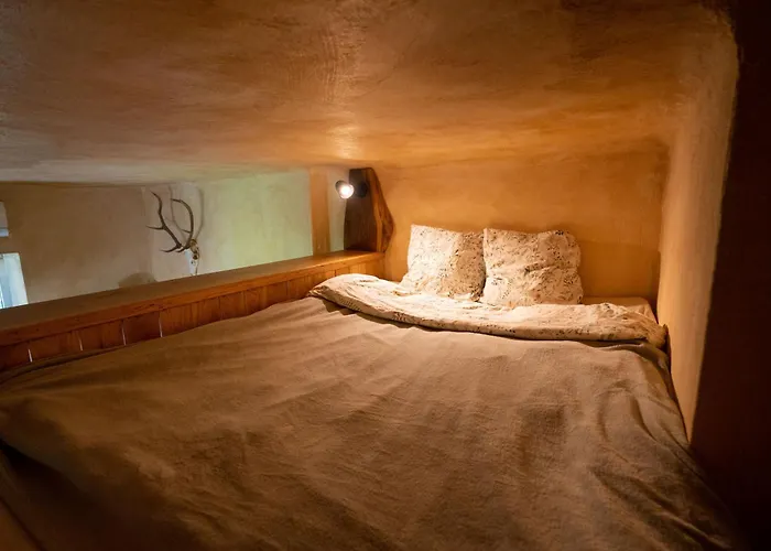 Alpine Styled In Apartma