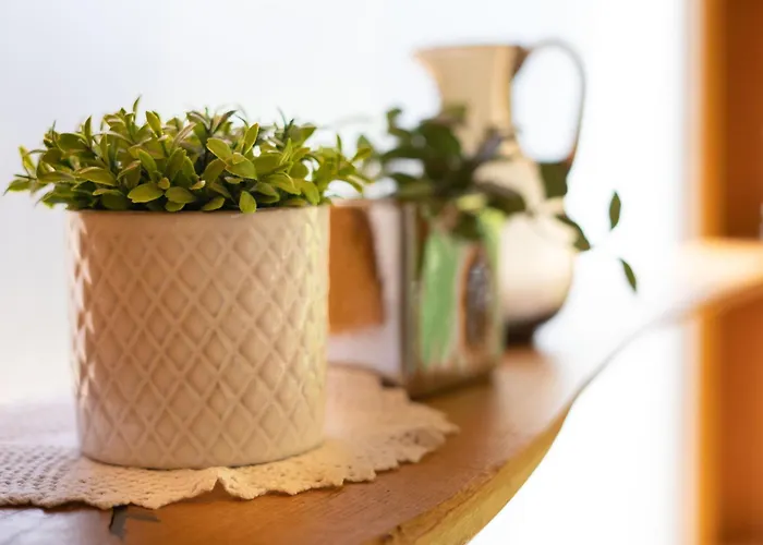 Alpine Styled In Apartma Bled