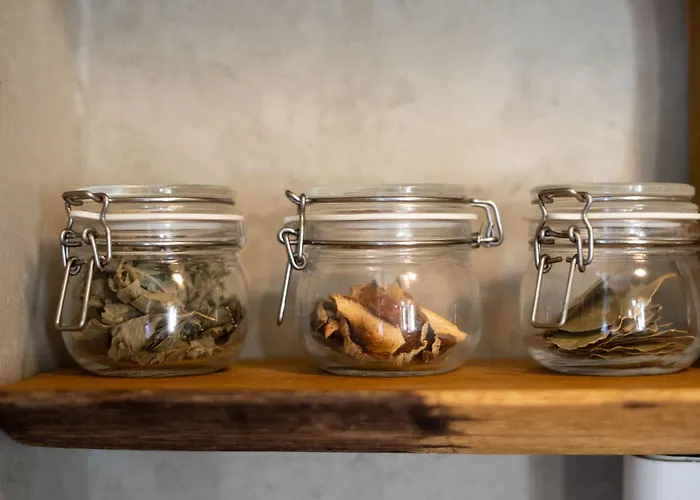 Alpine Styled In Bled