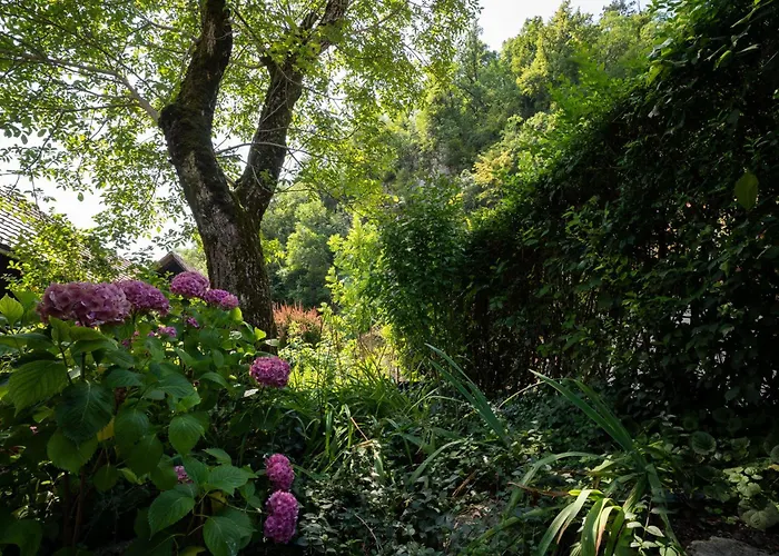 Apartma Alpine Styled In *